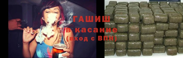 индика Белокуриха