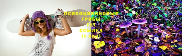 индика Белокуриха